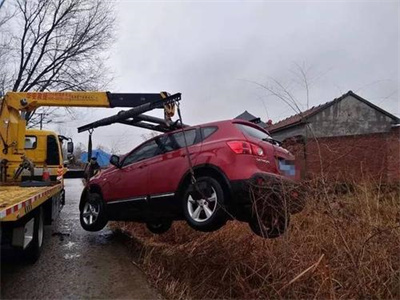 陵水楚雄道路救援